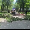O creangă dintr-un copac din Parcul Bazilescu a căzut peste doi tineri. Spitalul Elias: Fata este în comă