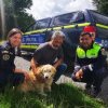 Un câine pierdut în urmă cu doi ani de o familie din Timişoara, găsit întâmplător de poliţişti, în Caraş-Severin