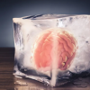 s-a găsit în sfârșit o modalitate de a dezgheța țesutul cerebral uman congelat
