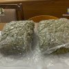 Rețea de trafic de droguri destructurată în Neamț / Poliția a confiscat cantități semnificative de cannabis