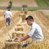 Fermierii români avertizați de APIA că „anul aceasta nu se prelungește perioada de depunere”