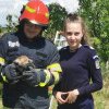 Intervenție inedită pentru pompierii brașovenii