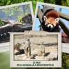 Ziua Mondială a Biodiversității va fi marcată la Grădina Zoologică din Brașov!