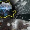 Avertizări de vreme severă, în România. ANM a emis cod galben de vijelii şi ploi torenţiale
