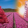 Cum va fi vremea iunie 2024. Prognoza meteo actualizată, ce temperaturi aduce prima lună de vară