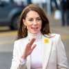 Noi detalii despre starea lui Kate Middleton. Prin ce trece Prinţesa de Wales şi când ar putea reveni la viaţa publică