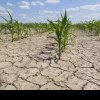 Agricultorii din sudul și estul țării, amenințați de o nouă confruntare – seceta extremă