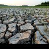 Plămânii Planetei sunt în mare pericol: Peste o treime din pădurea amazoniană luptă să-și revină după o secetă dezastruoasă