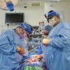 Viitorul transplanturilor: ce s-a întâmplat cu primul om căruia i s-au transplantat rinichi de porc