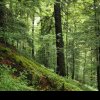Grănicerii din Rusu Bârgăului au pus frână Gărzii Forestiere, de a naționaliza peste 2.500 ha de pădure! Tribunalul BN le-a dat dreptate, urmează decizia CA Cluj