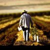 Termen limită: 7 iunie, ultima zi de depunere a cererilor de plată pentru fermierii maramureșeni