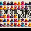 Petrecere Bristol – Timișoara pe vapor: invitați speciali din Marea Britanie vin la evenimentul celor de la anonimTM