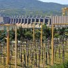 Ministerul Energiei: Hidrocentrala Porțile de Fier 3 ar putea avea impact semnificativ asupra mediului și navigabilității. Nu există un grup de lucru comun cu Serbia