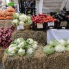 Te-ai întrebat vreodată de ce sunt multe legume de import mai ieftine decât cele românești? Iată de ce
