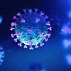 Cât de aproape suntem de o nouă pandemie? Experții avertizează că virusuri necunoscute pot apărea brusc: „Ar fi o amenințare masivă”