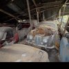 Comoara din pădure: o femeie a descoperit într-un hambar abandonat 50 de mașini de epocă