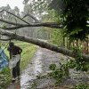 Peste 30.000 de locuințe au fost distruse de ciclonul Remal din Bangladesh. Cel puțin 10 persoane și-au pierdut viața