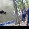 Un indian s-a înecat în Prut, în timp ce încerca să ajungă ilegal în România