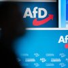 Un politician al partidului de extremă-dreapta AfD din Germania a fost lovit cu o scrumieră în cap. Ce a declarat atacatorul