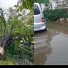(foto) Arbori smulși din rădăcină, străzi inundate și fire electrice avariate, în urma intemperiilor de aseară: Autoritățile îndeamnă cetățenii să fie precauți