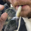 Numărul fumătorilor zilnici de „iarbă” din SUA îl depăşeşte pentru prima oară pe cel al băutorilor zilnici de alcool