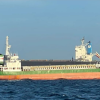 O navă s-a scufundat în Marea Neagră, la 26 de mile marine de Sfântu Gheorghe: Mai multe nave desfăşoară acţiuni de căutare în zonă