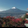 (video) Un oraş din Japonia începe să blocheze priveliştea Muntelui Fuji pentru turişti