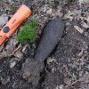 Bombă de aruncător 60 mm, găsită într-o pădure din satul Lunca, comuna Valea Lungă