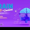 Între 29 mai și 7 iunie 2024, Liceul Tehnologic Sebeș este gazda expoziției „The BRAIN – Mind and Emotions”