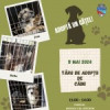 Târgul de adopții canine devine o tradiție lunară: Sâmbătă, 11 mai, iubitorii de animale sunt așteptați în Parcul Mircea cel Bătrân să își găsească un prieten necuvântător