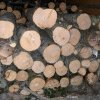 Capturi importante de maşini, utilaje şi bani în cazul rețelei de furt de lemn de la Mihăești