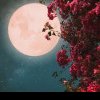 Luna Florilor, un fenomen astronomic spectaculos va avea loc în această săptămână