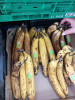 Atenție la cumpărarea de fructe și legume. Protecția Consumatorilor face o serie de recomandări/FOTO
