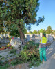 Horticultura continuă lucrările de întreținere în cimitirele pe care le administrează