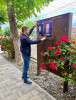 Primarul comunei Şag, Flavius Roşu, apel pentru fair play în campania electorală