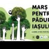 1 iunie – Marş pentru Pădurile Iaşului! Bună Dimineața la Radio Iași