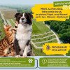 Mioveni. Sterilizări gratuite la câini și pisici de rasă comună