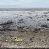 Nivel de poluare extrem de mare pe litoral, după deschiderea sezonului estival