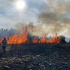 Arde Delta Dunării: Aproximativ 11 hectare de vegetaţie uscată, afectate de un incendiu
