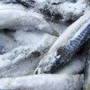 Au venit rezultatele preliminare în cazul fetiței de 4 ani din Călărași, care a decedat după consumul de pește la grătar: Ce substanțe conținea alimentul