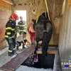 Cal căzut într-un beci, salvat cu ajutorul pompierilor