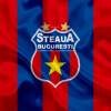 CSA Steaua cere FRF schimbarea numelui echipei: sub ce denumire vor să evolueze din sezonul viitor / Anunț triumfător al suporterilor