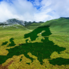 Dinamizarea viitorului Europei cu ajutorul bioenergiei: Pactul verde, o tranziție care să aducă bogăție și prosperitate cetățenilor UE