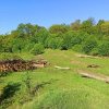 FOTO Au intrat cu drujba și au distrus un sit arheologic vechi de 8.000 de ani: Monumentul istoric din România care este supus distrugerii