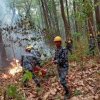Incendii puternice de pădure în Nepal / VIDEO