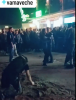 VIDEO Bătaie în plină stradă la Vama Veche. Poliția îi caută pe participanți