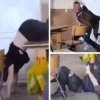 VIDEO Scene halucinante: O fată și-un băiat și-au tras pumni și picioare în clasă. Poliția s-a autosesizat