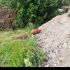 Intervenție pirotehnică în satul Lunca din comuna Valea Lungă. A fost descoperit un posibil proiectil rămas neexplodat