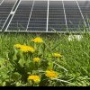 LISTA dosarelor aprobate în cadrul Programelor Casa Verde Fotovoltaice, Rabla Clasic, Rabla Plus și Microbuze, publicată de AFM