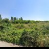 Noi parcuri și zone verzi la Alba Iulia. Proiect pentru un parc de 9 hectare, în zona de Nord a municipiului